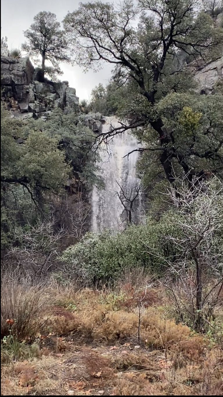 Ash Creek Canyon – Waterfall Pasture