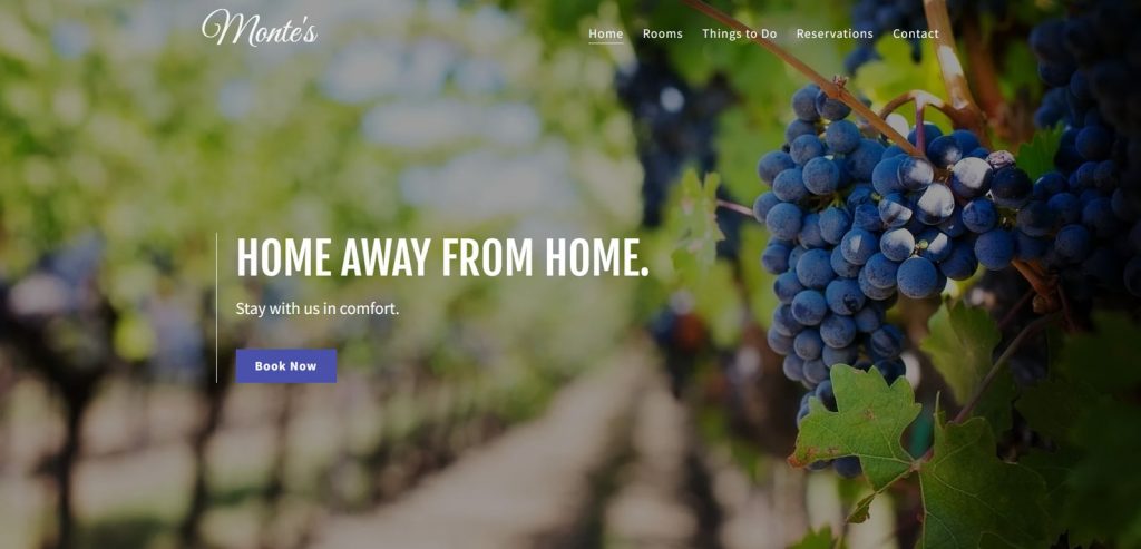 Snapshot of Monte's, one of the best vacation rental website templates.