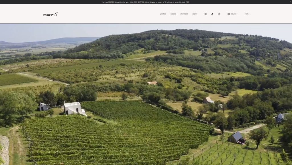 Representation of Sazu Balaton, a memorable Squarespace website example with an integrated wine store.
